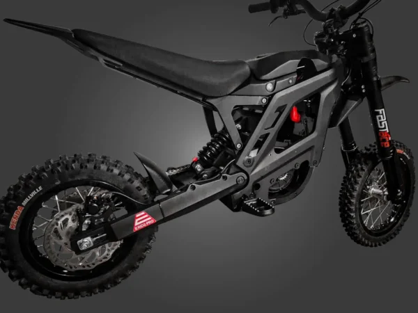 E-ride pro mini